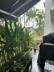 The Shelford (D11), Condominium #530559511